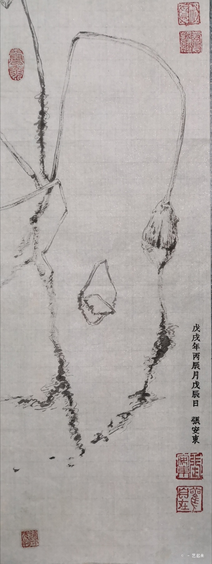 章莹颖案7月6日第2次聆讯 将确定嫌疑人保释问题‘ky com’(图2)