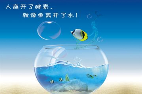 武汉有哪些家装公司？“ky.com”(图1)