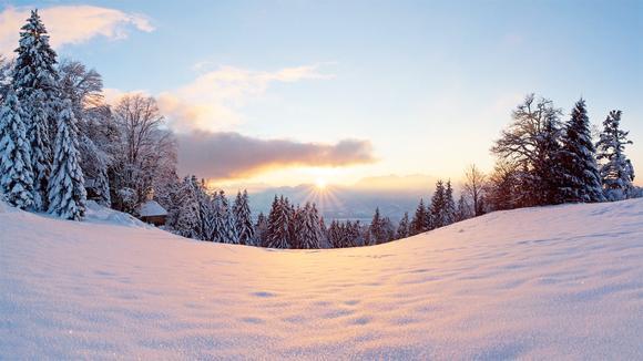 去年山东东明大屯镇板材产值达到30多亿元_ky.com(图2)