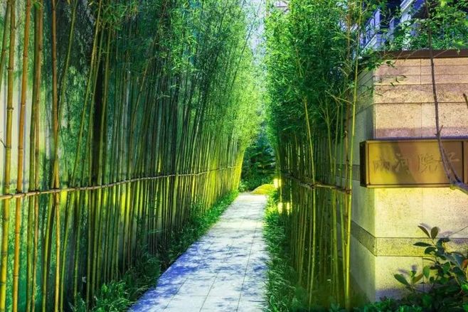 内蒙古拟投资1亿美元在俄外贝加尔修建木材加工厂-ky.com(图3)