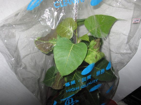 木制家具出口企业应高度关注美国《莱西法案》‘kycom’(图3)