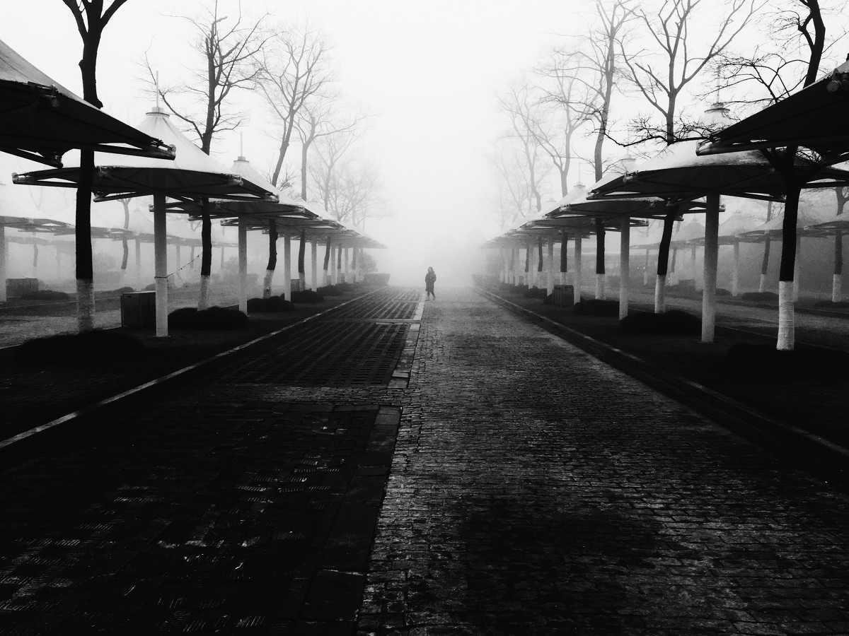 木材市场一周锯材市场行情分析（2.13-19日）‘ky com’(图2)