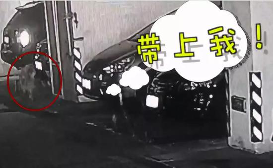 如何正确选购家具呢？：ky com(图4)