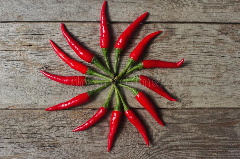 “ky com”美食精选：金针菇炒肉丝，猪肚鸡，虾仁鲜笋菜泡饭，蚝油茄汁拌面做法介绍(图1)