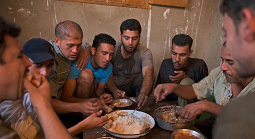 俄将联合打击非法砍伐、运输、加工、销售木材及其制成品行为‘ky com’(图2)