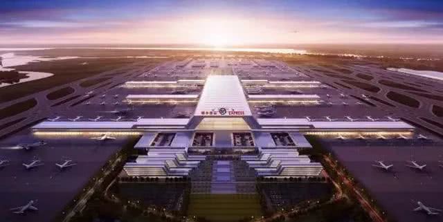 厦门进口原木半年同比增长近九成 辐射松占比过半-ky com(图3)