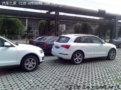 kycom-木材市场深度观察：行情纷纷好转，奥坎价格涨幅最大(图2)