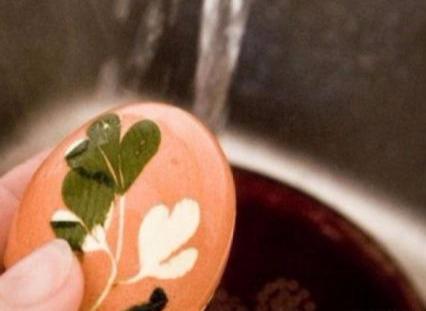 kycom：中国胃口正在摧毁法国传统橡木行业？(图3)