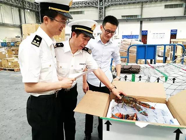 ky.com_齐家网联合腾讯家居发布2019家装用户洞察白皮书(图2) ky.com_齐家网联合腾讯家居发布2019家装用户洞察白皮书(图2)