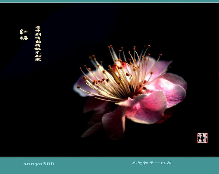 kycom_客厅挂画又有什么讲究呢?(图2)