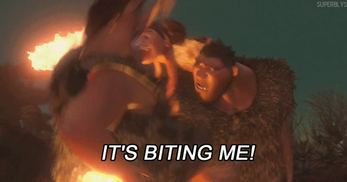 板材十大品牌家湘美 || 买板材，必看知识贴：ky.com(图1)