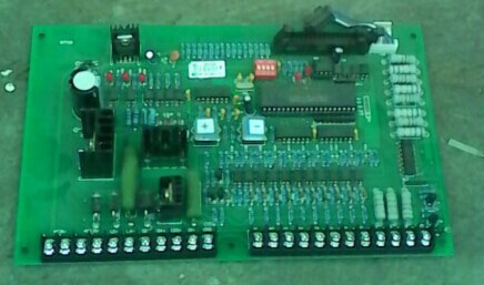 【ky com】海黄木原料稀缺 一块木板每斤价格超三万(图3) ky com