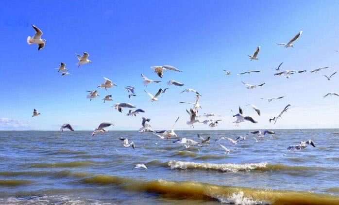 kycom-糯米糍的做法_糯米糍怎么做_小火柴er的菜谱(图4)