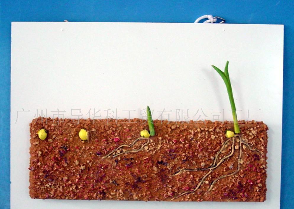 为这样的老人房设计打call，父亲节最贴心的礼物非此莫属‘ky com’(图1)