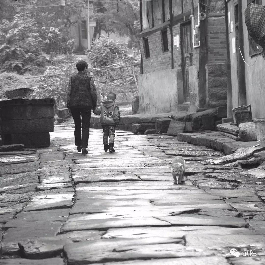 2019中国十大板材品牌总排行榜公布|ky com(图2) ky com