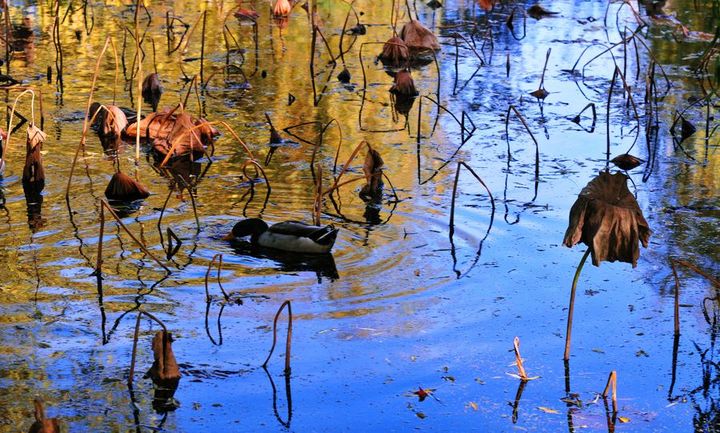 kycom：乳胶漆脏了可以重刷吗 乳胶漆施工注意事项(图1)