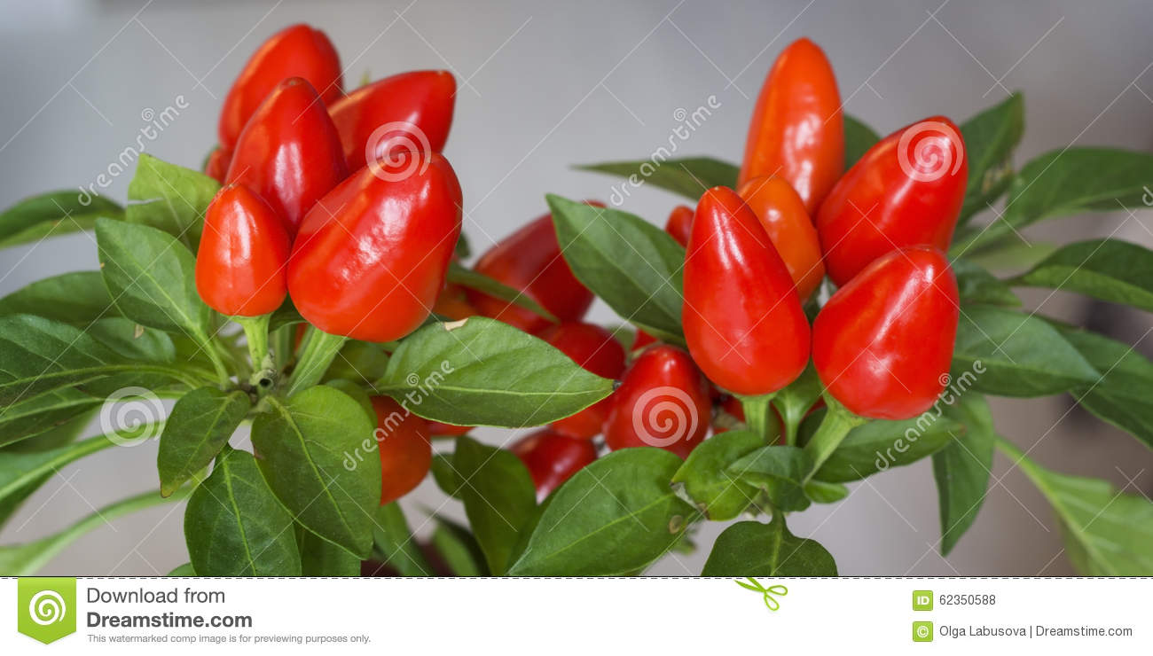 儿童房衣柜什么牌子好？儿童房衣柜十大品牌排名-ky.com(图1)