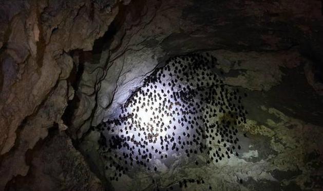 糖醋爱心荷包蛋的做法_糖醋爱心荷包蛋怎么做_美米妮的菜谱【ky.com】(图4)