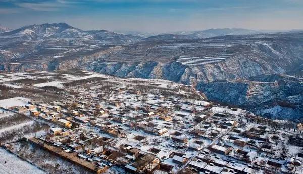 ‘kycom’美食：炒鸭腿肉，青鱼干，豆芽炒粉条，西红柿炒海鲜菇的做法(图2)