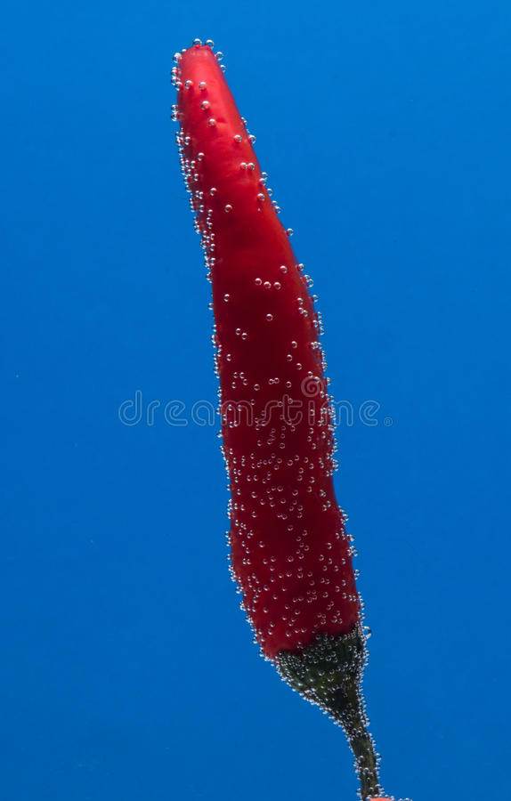 迷你小麻橢的做法_迷你小麻橢怎么做_线线3896的菜谱“ky com”(图2) 迷你小麻橢的做法_迷你小麻橢怎么做_线线3896的菜谱“ky com”(图2)