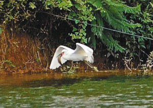 新房入住前,六大风水注意事项?|kycom(图3) 新房入住前,六大风水注意事项?|kycom(图3)