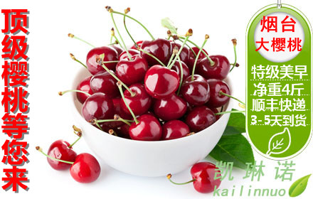 三棵树考察团对费县木业产业进行考察‘ky.com’(图1)