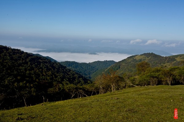 中国知名松木家具品牌都是哪些？|kycom(图1)