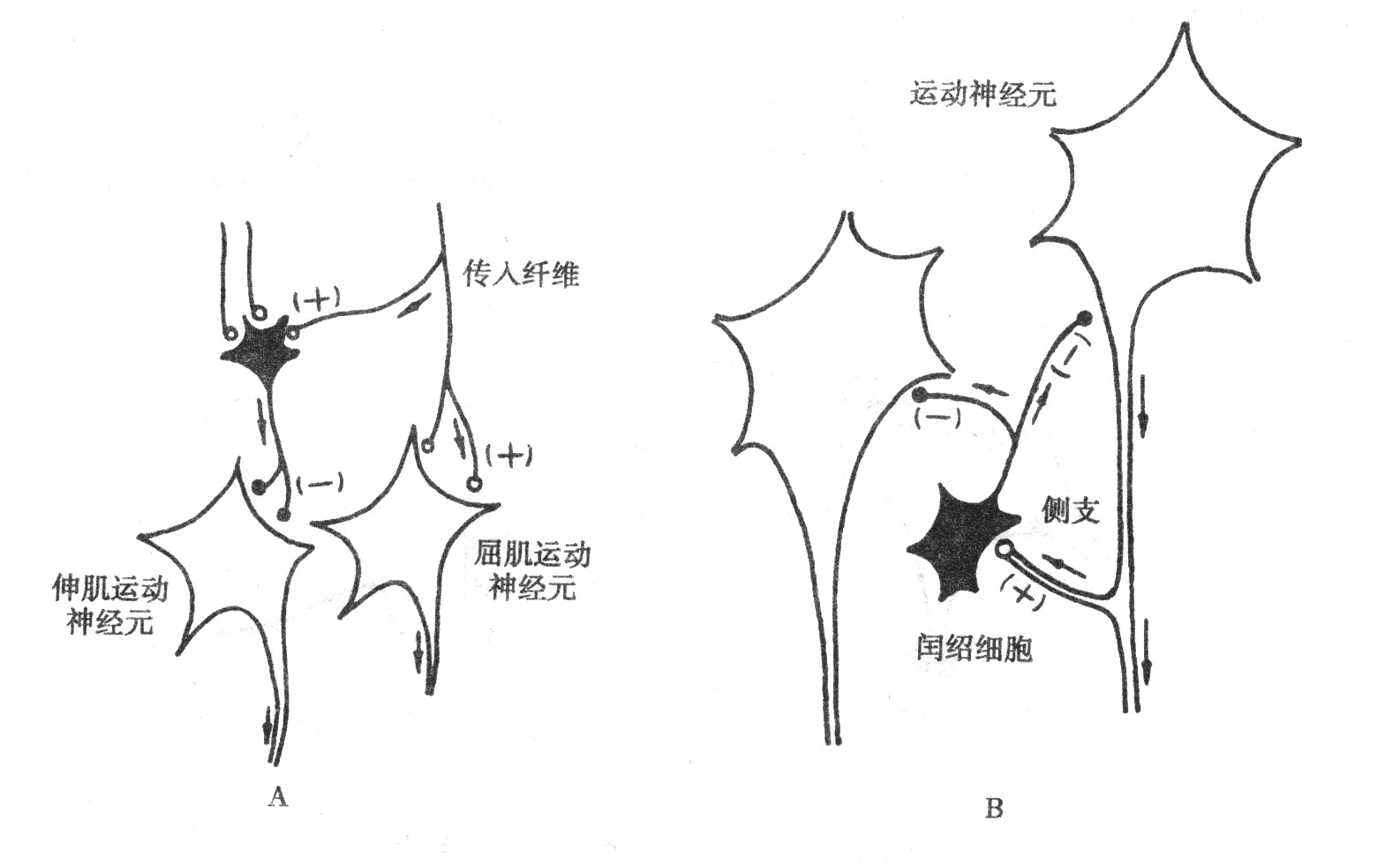 奥巴马:美国经济正开始渡过难关-ky.com(图1) 奥巴马:美国经济正开始渡过难关-ky.com(图1)