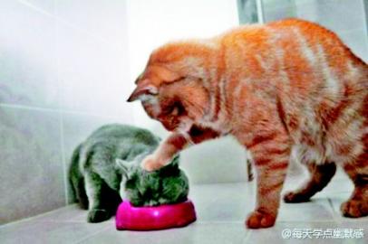 奥巴马:美国经济正开始渡过难关-ky.com(图3) ky com