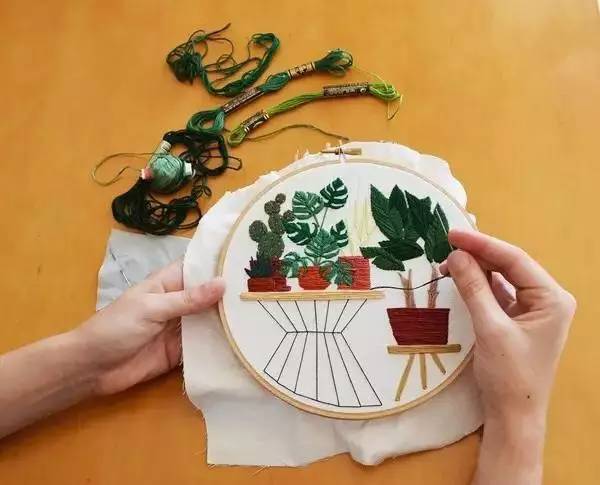 全球森林消失速度加快|ky.com(图4) 全球森林消失速度加快|ky.com(图4)