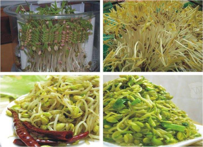 “kycom”无铝大油条的做法_无铝大油条怎么做_b13127971028的菜谱(图2)