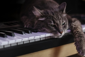 ky com_有小碎花却不俗气的家,没两把刷子是搭不出来的(图4) ky com