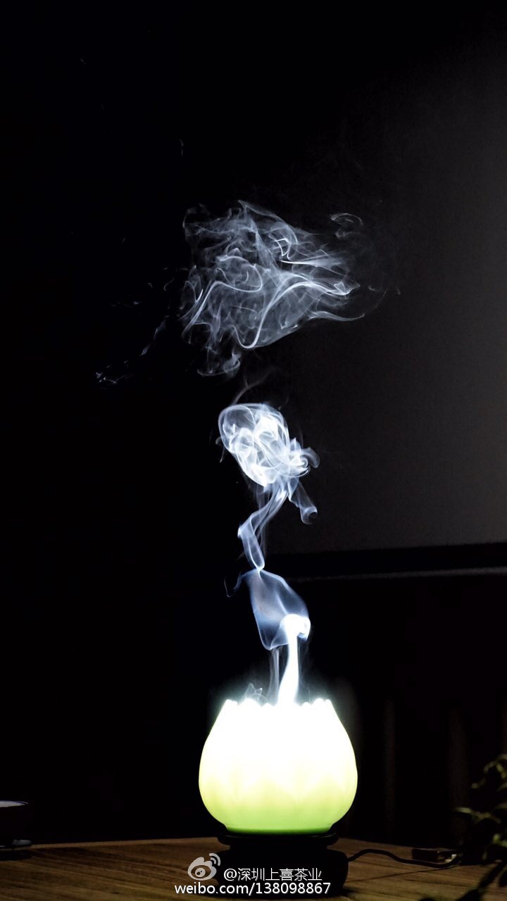 “kycom”中国和马来西亚成为刚果木材的主要经营者(图1) ky com