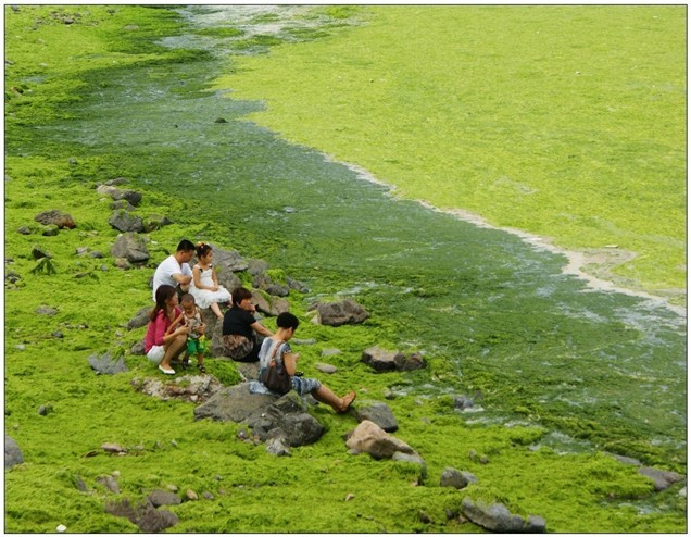 美食菜谱 美味的蒜香叉烧排骨家常做法怎么做 这么做好吃极了“kycom”(图2)
