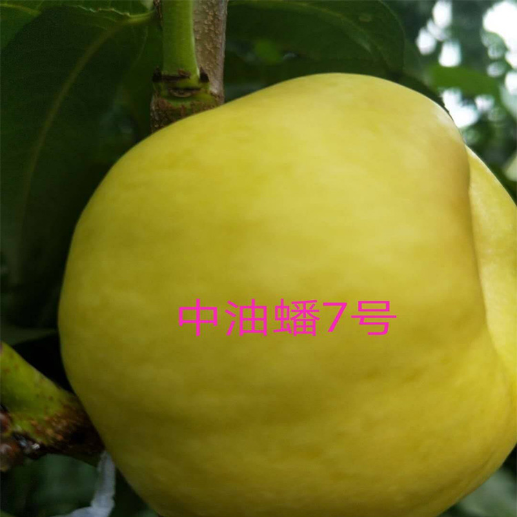 房门对房门有什么讲究 怎么化解门对门的不利之处‘ky.com’(图1) ky com