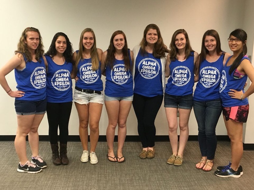 ky.com|腻子怎么刮才平 墙面刮腻子注意事项(图5) ky com