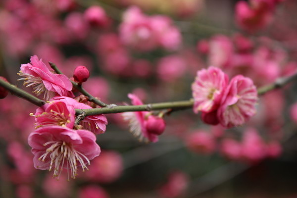 ky com_小房子如何装修出别墅范儿！(图1)