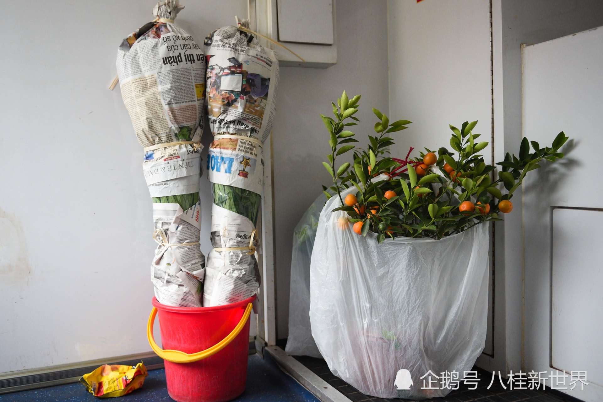 kycom_十年之间每扇木门利润从60元缩至6元(图2)