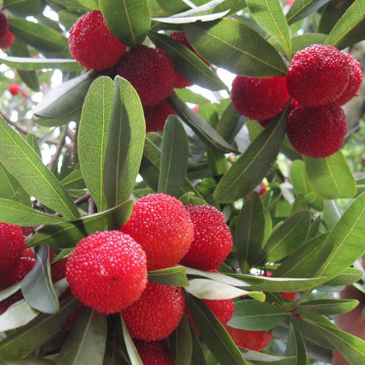 如何设计暗门_ky com(图3)