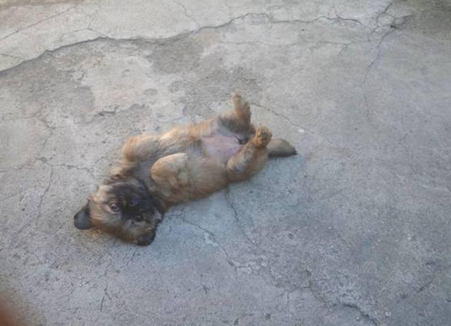 武汉100平米装修多少钱？100平米装修预算|kycom(图2)