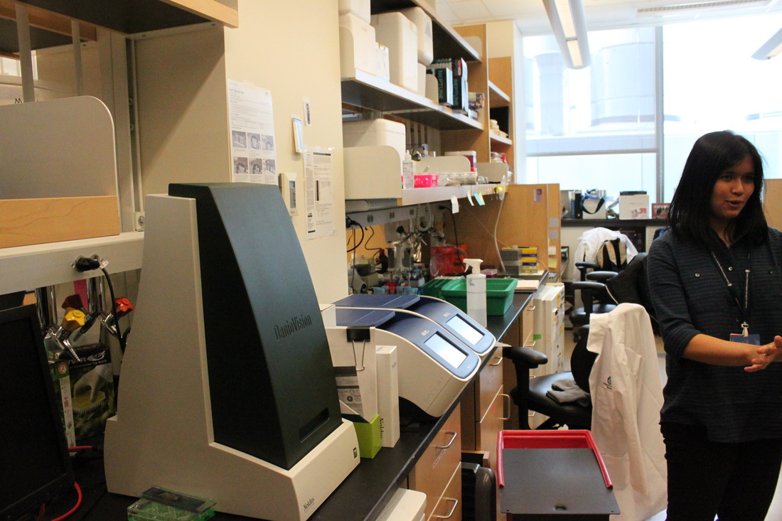 网友教的家居除湿小妙招真管用，婆婆见了对我另眼相看！|kycom(图1)