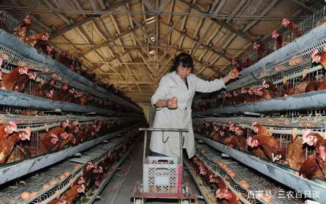 kycom：糯米凉糕的做法_糯米凉糕怎么做_杨子你好2012的菜谱(图2)