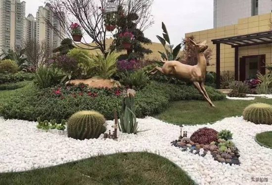 木材进境口岸 国检人要当好啄木鸟，严把国门，爱护我们的绿色家园！|ky com(图1)