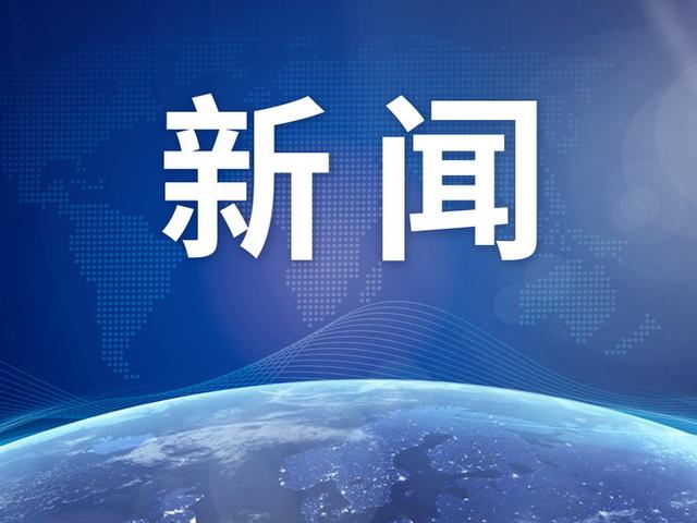 浙江路桥集中销毁了11000根松材线虫病疫木-kycom(图3)